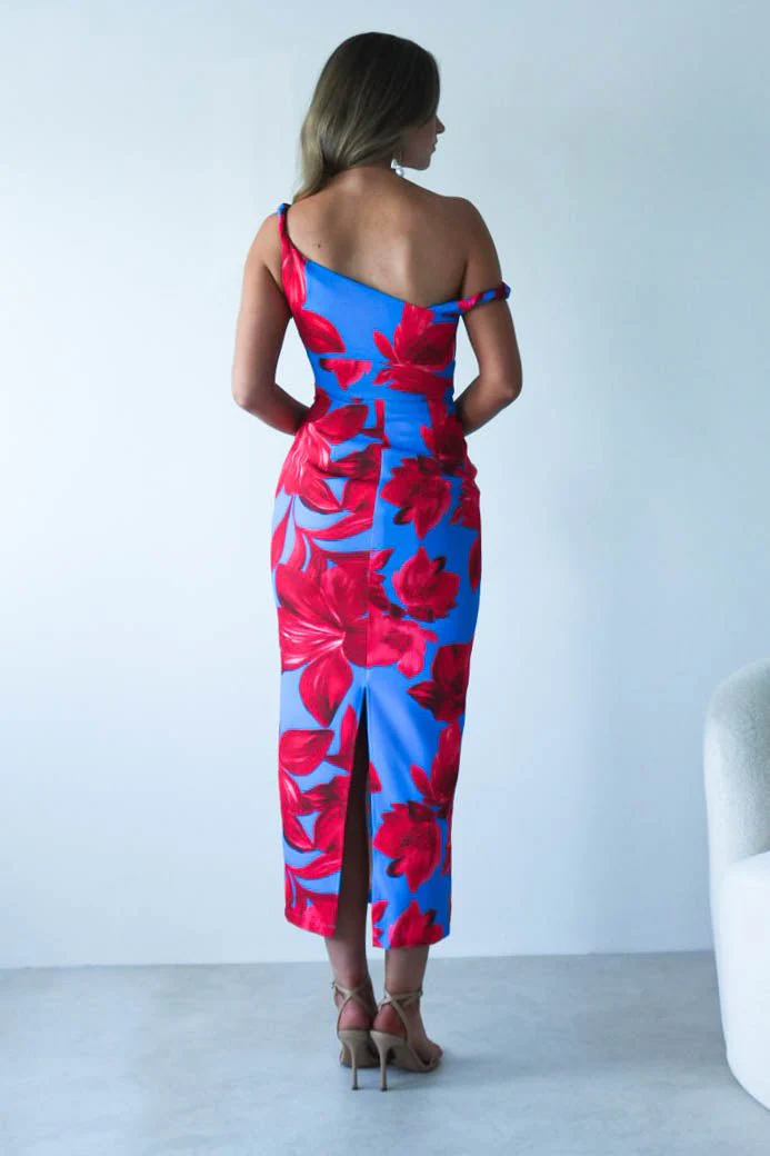 Elliot Floral Print Midi Dress | Blue/Red - Image 5