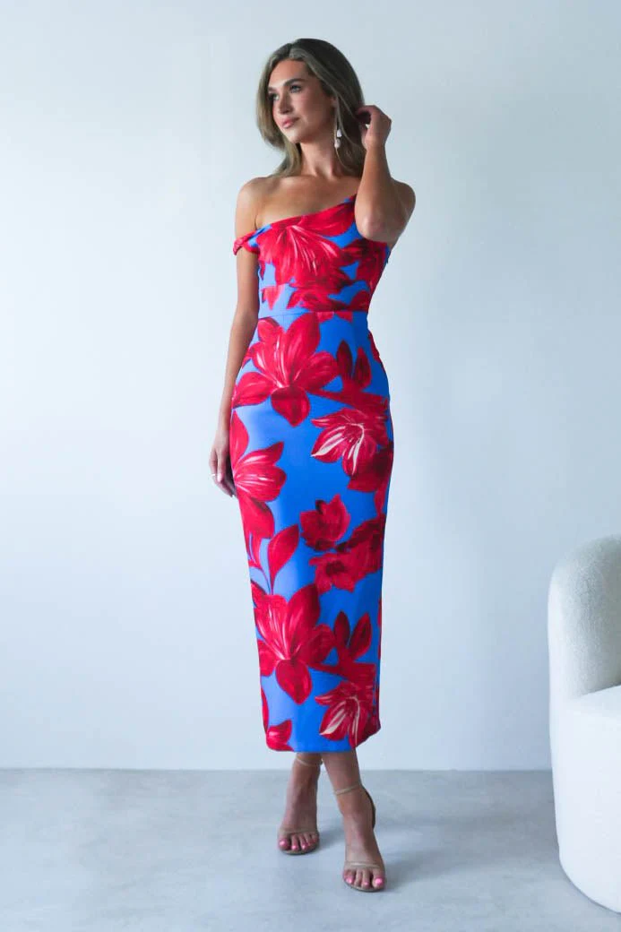 Elliot Floral Print Midi Dress | Blue/Red - Image 6